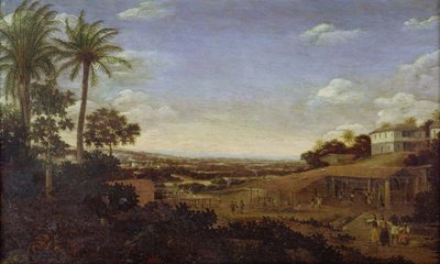 Okänd bild av Frans Post