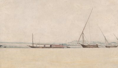 Tropiskt kustlandskap, 1600-talet. av Frans Post.