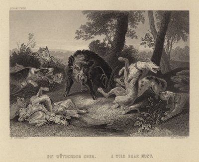 En vildsvinsjakt av Frans Snyders or Snijders
