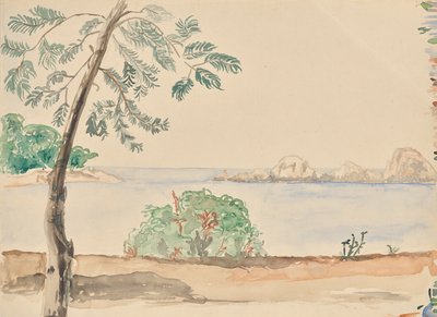 kusten i Florida (?) av Franz Barwig d. Ä.
