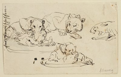 Snurrande Sundapanthers av Franz Barwig d. Ä.