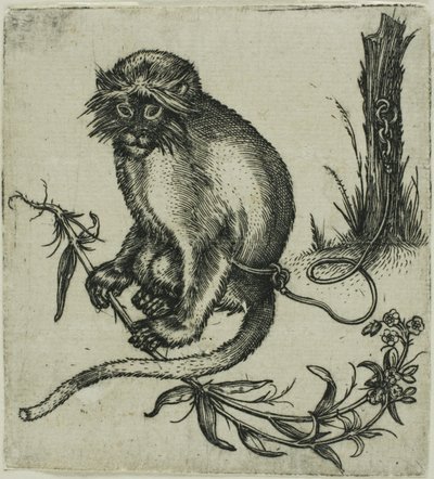 En kedjad apa av Franz Brun