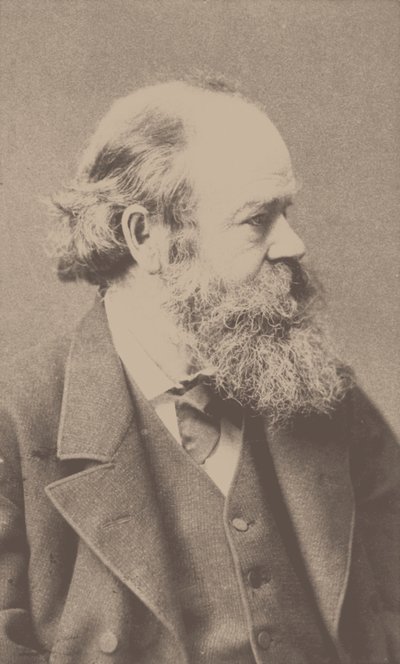 Porträtt av kompositören Robert von Hornstein 1833-1890. av Franz Hanfstaengl