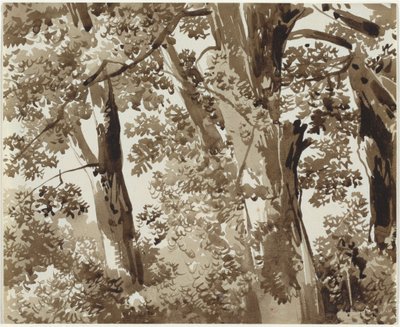 Träd med tät undervegetation av Franz Innocenz Josef Kobell