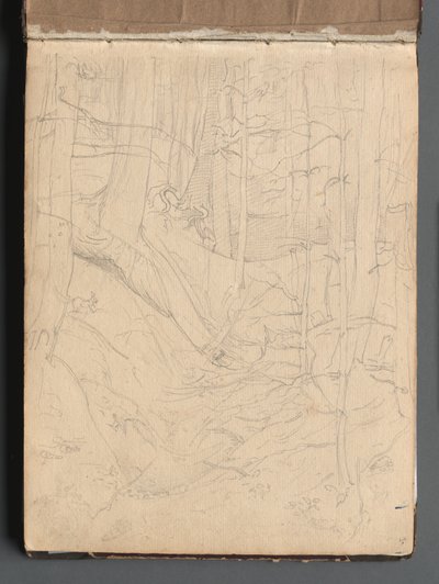 Album med utsikt över Rom och omgivningar, Landskapsstudier, sida 01a: Romerskt landskap. av Franz Johann Heinrich Nadorp