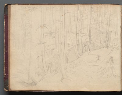 Album med vyer över Rom och dess omgivningar, Landskapsstudier, sid 01b: Romerskt landskap av Franz Johann Heinrich Nadorp