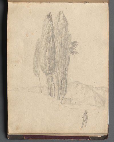 Album med utsikt över Rom och omgivningar, landskapsstudier, sida 20a: Träd av Franz Johann Heinrich Nadorp