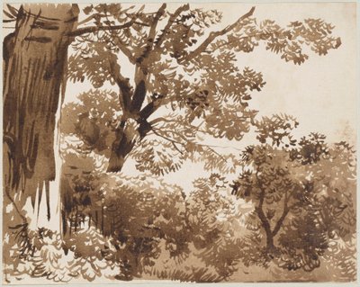 I skogen av Franz Kobell