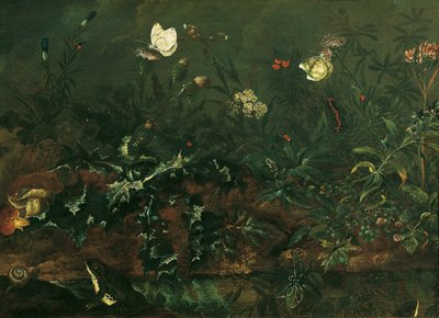 Gräsmatta med tistel, grodor och trollslända av Franz Michael Siegmund von Purgau d. Ä.