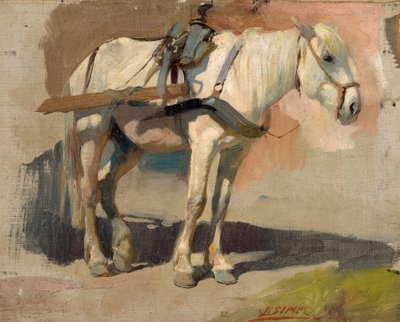 Utvecklad mögel av Franz Xaver Simm