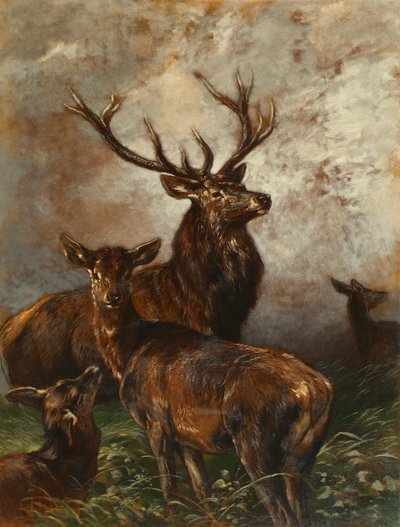 Hjortar och hindar av Franz Xaver von Pausinger