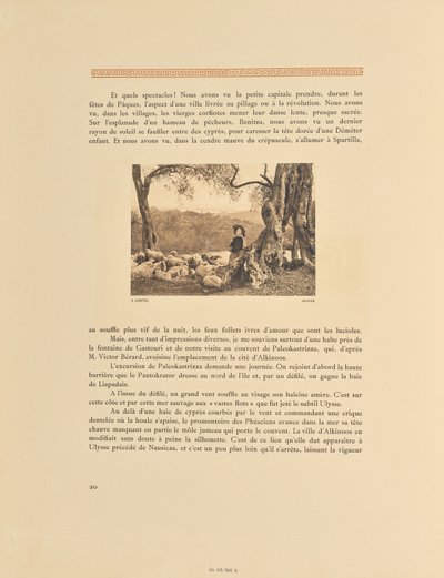 Korfu. Olivlund av Frédéric Boissonnas