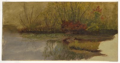Ett hörn av en damm av Frederic Edwin Church