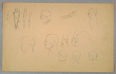 Anatomiska studier av Frederic Edwin Church