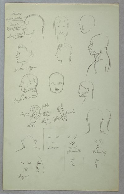 Anatomiska studier av Frederic Edwin Church