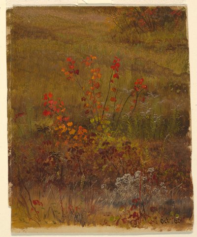 Botaniska studier av Frederic Edwin Church