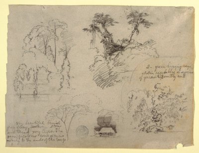 Botaniska studier och ett hus, troligen från Colombia av Frederic Edwin Church