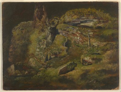 Boulder i skogen av Frederic Edwin Church