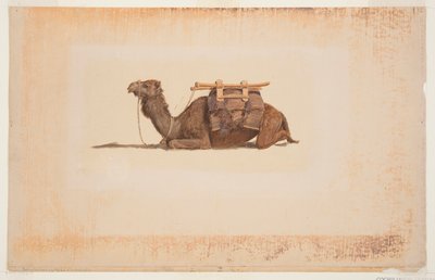Hukande dromedär av Frederic Edwin Church