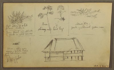 Teckning, Ett fort; Verso: Botaniska skisser, Hus, 1857 av Frederic Edwin Church
