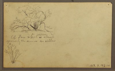 Teckning, En hydda på posteringar, Guayaquil, Ecuador, maj 1857 av Frederic Edwin Church