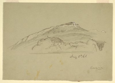 Teckning, Ett träd, Bayern, 8 augusti 1868 av Frederic Edwin Church