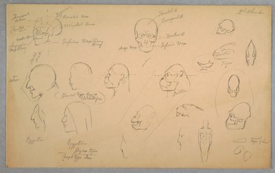 Teckning, Anatomiska studier, 1865-70 av Frederic Edwin Church