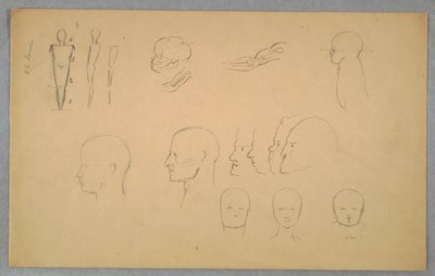 Teckning, Anatomiska studier, 1865-70 av Frederic Edwin Church