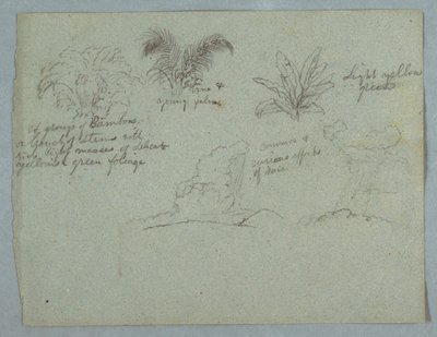 Teckning, Bambu, vinranka och en ung palm, växt, samt två scener med regn som faller från moln över bergskammar, Rio Magdalena, Colombia, 1853, troligen maj av Frederic Edwin Church