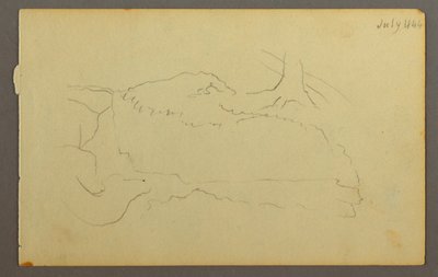 Teckning, Bas av träd, stenblock, 1844 av Frederic Edwin Church