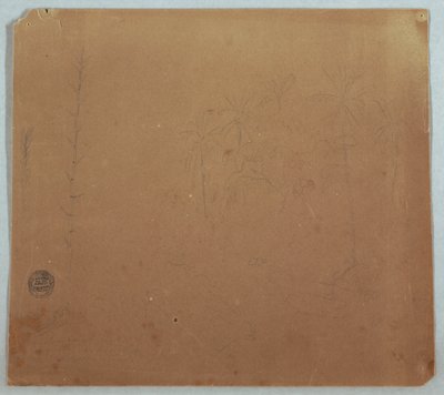 Teckning, Botaniska skisser, Möjligen bambu, palmer och buskar, Ecuador eller Colombia, 1853 eller 1857 av Frederic Edwin Church