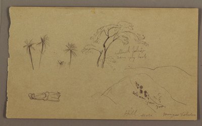 Teckning, Botaniska skisser, figur, maj-augusti 1865 av Frederic Edwin Church