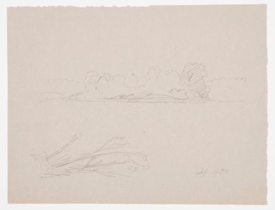 Teckning, Botaniska skisser: landskap, träd vid en strand, september 1876 av Frederic Edwin Church