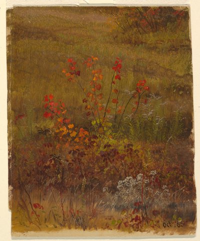 Teckning, Botaniska studier, oktober 1865 av Frederic Edwin Church
