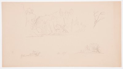 Teckning, Botaniska skisser: träd, träd vid strand, september 1876 av Frederic Edwin Church