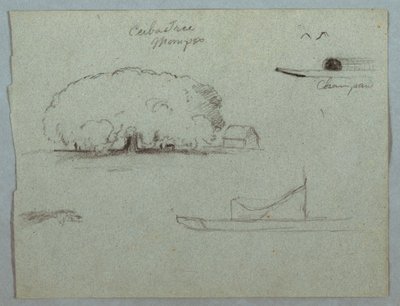 Teckning, Ceibaträd vid Mompos, Champankanot, träd och en del av en båt, Rio Magdelena, Colombia, 1853, troligen maj av Frederic Edwin Church