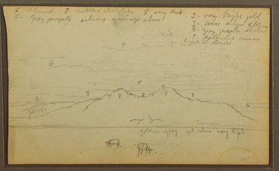 Teckning, Kor i landskap; Averso: Bambu, 1857 av Frederic Edwin Church
