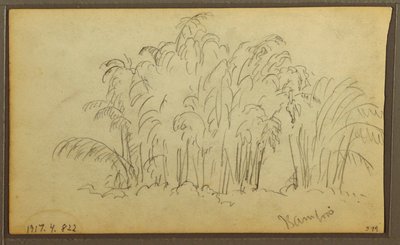 Teckning, Kor i landskap; Averso: Bambu, 1857 av Frederic Edwin Church