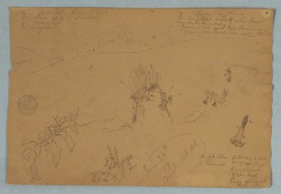 Teckning, Teckning.  Botaniska skisser och molnskisser nära Quito, Ecuador, 24 juni 1857 av Frederic Edwin Church