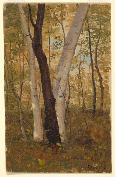 Teckning, I skogen, Hudson, New York, oktober 1865 av Frederic Edwin Church