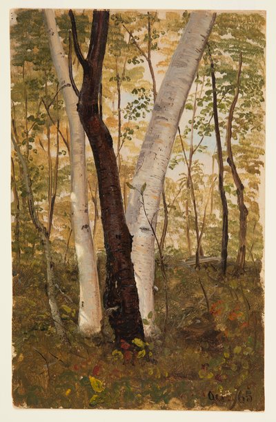 Teckning, I skogen, Hudson, New York, oktober 1865 av Frederic Edwin Church