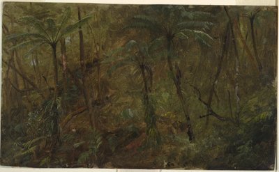 Teckning, I skogen i Jamacia, Västindien, 1865 av Frederic Edwin Church