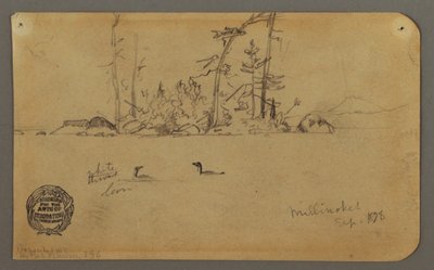 Teckning, Ö, Två lommar, 1878 av Frederic Edwin Church