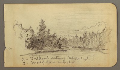 Teckning, Sjö omgiven av träd, möjligen 1878 av Frederic Edwin Church