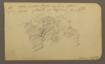 Teckning, Landskap, hus; Averso: Trädtopp, februari 1885 av Frederic Edwin Church