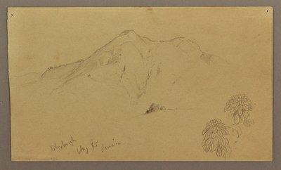 Teckning, Landskap, växter, Bloxburgh, augusti 1865 av Frederic Edwin Church