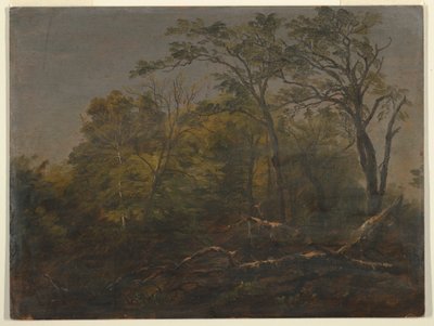 Teckning, Maine Woods, 1845-55 av Frederic Edwin Church