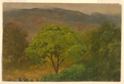 Teckning, Bergslandskap, augusti 1865 av Frederic Edwin Church