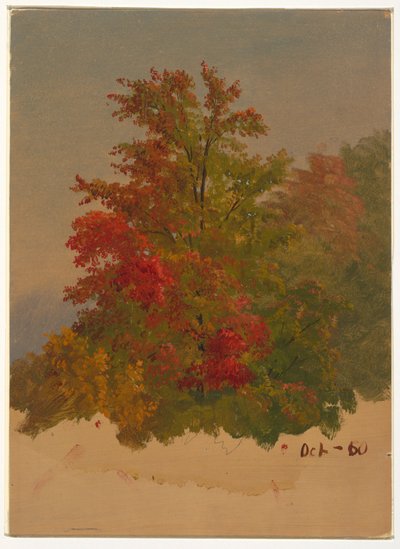 Teckning, Mt. Desert Island , Maine, oktober 1860 av Frederic Edwin Church