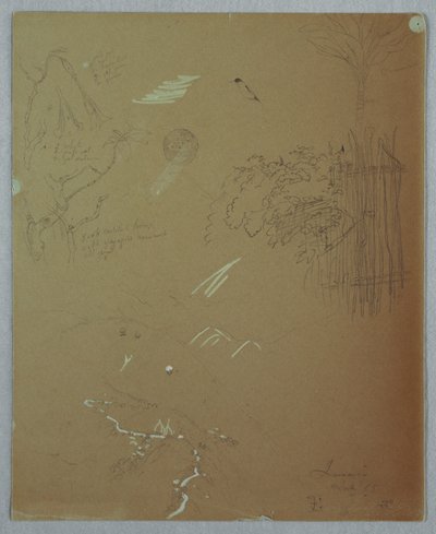 Teckning, Naturstudier, Blue Mountains, Jamaica, juli 1865 av Frederic Edwin Church